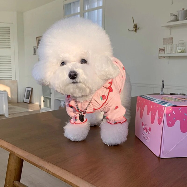jLthAutumn-Pet-Strawberry-Bottoming-Shirt-Teddy-Thermal-Vest-Poodle-Fruit-Clothes-Puppy-Soft-Two-Leg-Clothes.jpg