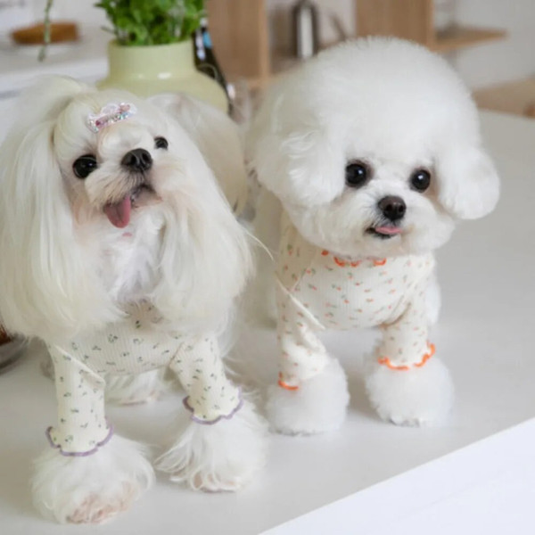 pQIODog-Autumn-Winter-Flower-Undershirt-Home-Pet-T-shirt-Clothes-Pet-Cute-Lace-Teddy-Puppy-Clothes.jpg