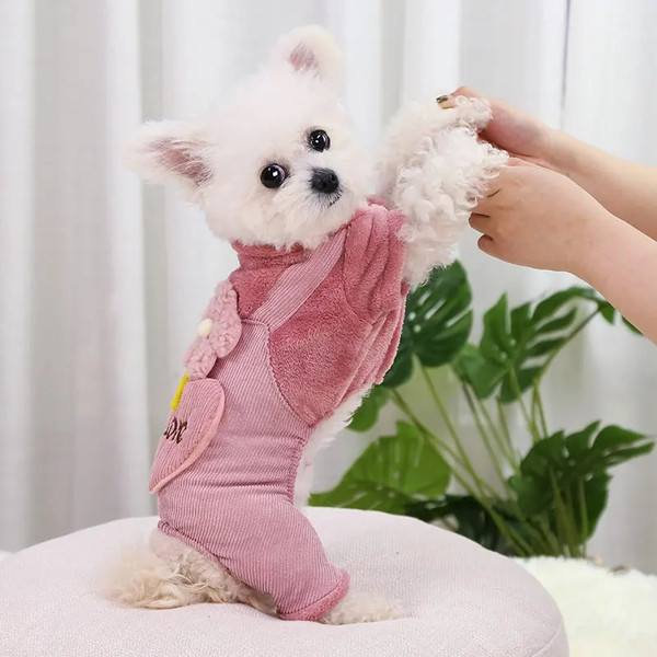 xAasPet-Dog-Clothes-Autumn-Winter-Warm-Pet-Dog-Coat-For-Small-Dogs-Puppy-Jacket-Outfit-Cute.jpg