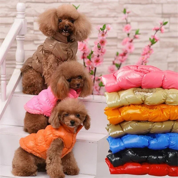 b9ddWarm-Dog-Clothes-Winter-Pet-Down-Jacket-Puppy-Coats-Dog-Clothes-for-Small-Dogs-Chihuahua-French.jpg
