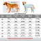 LdiIDog-Pajamas-for-Medium-Large-Dogs-Soft-Cozy-Dog-Clothes-Jumpsuit-Full-Covered-Belly-Pet-Recovery.jpg