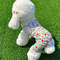 PveBRainbow-Strip-Puppy-Clothes-Cherry-Pattern-Dog-Hoodies-Jumpsuit-Princess-Pajamas-For-Small-Medium-Dogs-Yorkshire.jpg