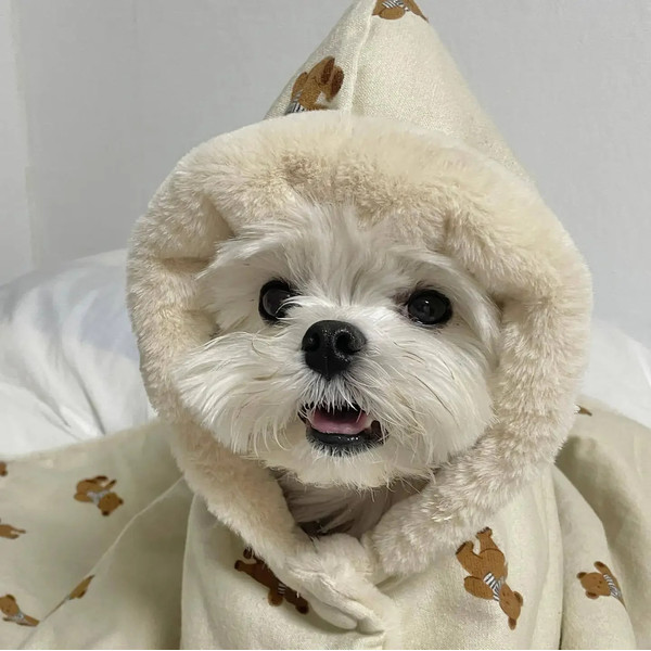 KnYuNew-INS-Winter-Scarf-Bear-White-Rabbit-Blanket-Warm-Pet-Dog-Warm-Mantle-Cover-Blanket-Sleeping.jpg
