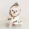 9AGvPet-Cloak-Pajama-Autumn-and-Winter-Thickened-Cotton-Clothes-Dog-Cloak-Teddy-Pet-Clothes-Household-Dog.jpg