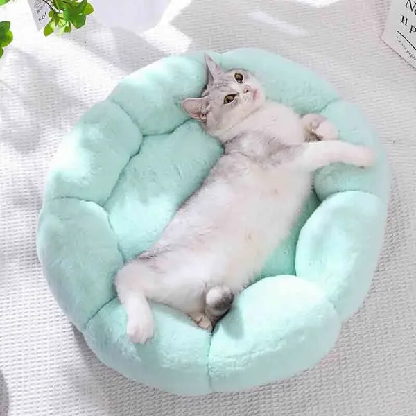 asdKSuper-Soft-Cat-Bed-Washable-Flower-Pet-Cushion-Self-Warming-Sleeping-Cushion-Mat-for-Cat-Four.jpg