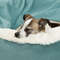 2wSkOrthopedic-Dog-Bed-With-Hooded-Blanket-Winter-Warm-Waterproof-Dirt-Resistant-Cat-Puppy-House-Cuddler-Machine.jpg