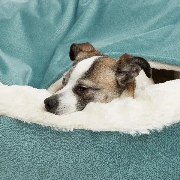 2wSkOrthopedic-Dog-Bed-With-Hooded-Blanket-Winter-Warm-Waterproof-Dirt-Resistant-Cat-Puppy-House-Cuddler-Machine.jpg