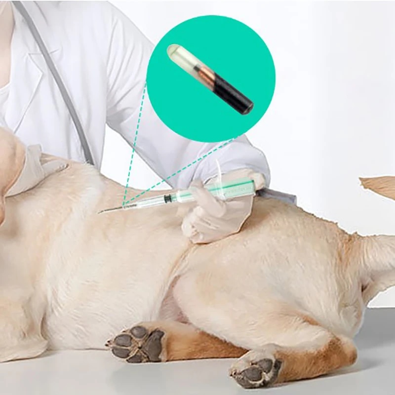 HMYf1-25-7mm-1-4-8mm-2-12-12mm-Pet-Animal-Microchip-Syringe-Horse-Dog-Microchip.jpg