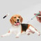 EUkK1-25-7mm-1-4-8mm-2-12-12mm-Pet-Animal-Microchip-Syringe-Horse-Dog-Microchip.jpg