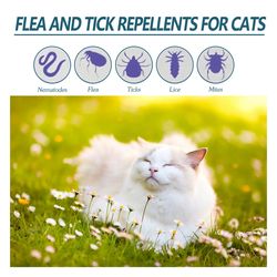 Effective Pet Flea Drops for Cats & Dogs: Ticks, Lice, Mite Treatment