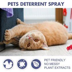 Natural Pet Scratch Deterrent Spray for Furniture Protection