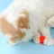 67Q5Funny-Cat-Toys-Interactive-Teaser-Cat-Dog-Plush-Ball-Shooting-Gun-Launcher-Training-Toy-Self-help.jpg