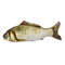 hnLNSoft-Plush-3D-Simulation-Cat-Toy-Fish-Catnip-Fish-Shaped-Anti-Bite-Chewing-Interactive-Training-Toy.jpg