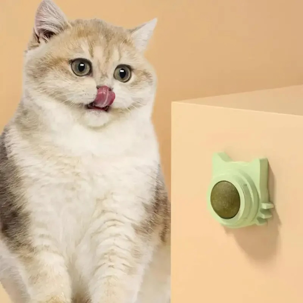 DKcoCatnip-Balls-Funny-Lickable-Cat-Snack-Catnip-Balls-Kitten-Playing-Chewing-Cleaning-Teeth-Toy-for-Small.png