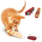 z1phAutomatic-Cat-Toy-Crawl-Electric-Bug-Ladybug-Intelligent-Shake-Interactive-Funny-Cat-Dog-Toy-Interactive-Pet.jpg