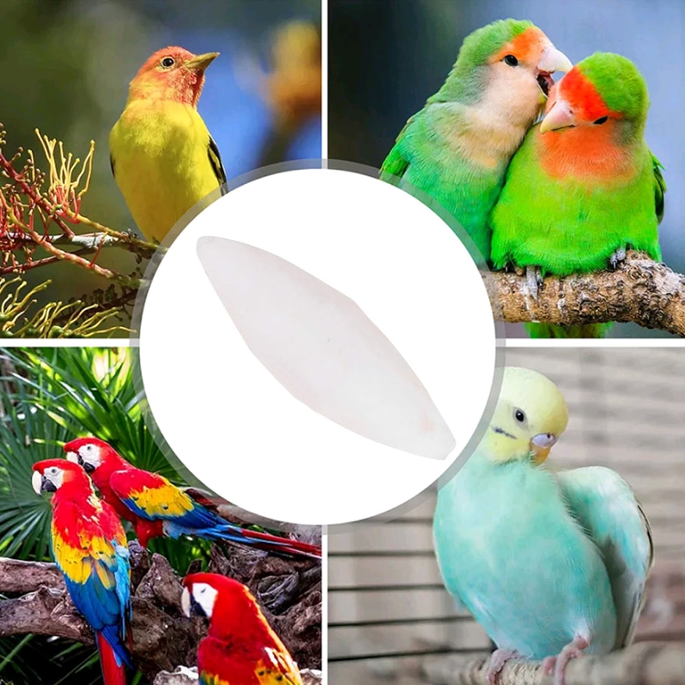 UJla1-2PCS-Cuttlefish-Bones-Pet-Parrot-Perch-Hamster-Hanging-Bell-Calcium-Supplements-Molars-Chewing-Toys-Bird.jpg