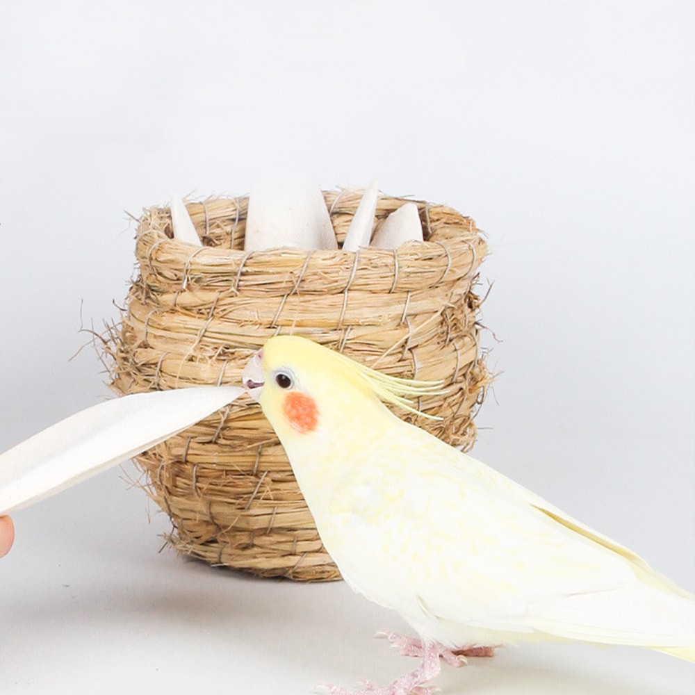 ymAD1-2PCS-Cuttlefish-Bones-Pet-Parrot-Perch-Hamster-Hanging-Bell-Calcium-Supplements-Molars-Chewing-Toys-Bird.jpg