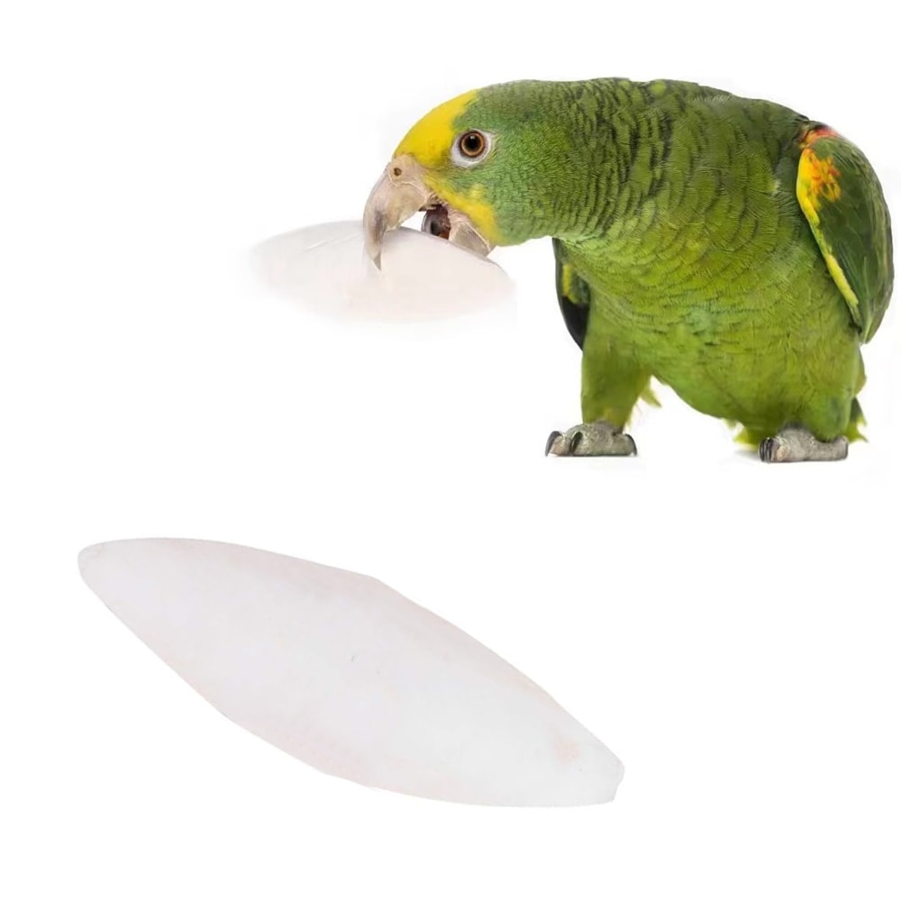 x00l1-2PCS-Cuttlefish-Bones-Pet-Parrot-Perch-Hamster-Hanging-Bell-Calcium-Supplements-Molars-Chewing-Toys-Bird.jpg
