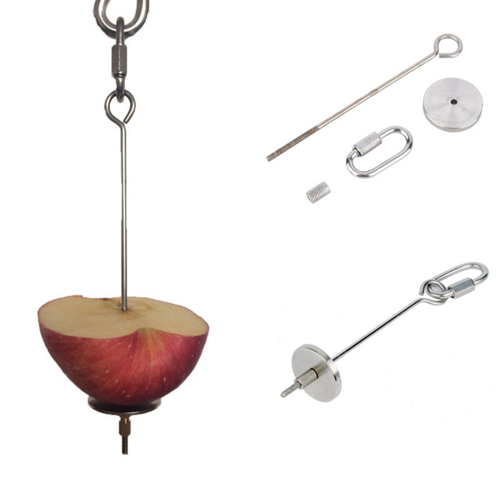 ddAMNew-Pet-Birds-Fruit-Skewer-Spear-Food-Hanging-Holder-For-Pet-Parrot-Feeder-Parakeet-Small-Animal.jpg