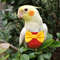 oRUAParrot-Pigeon-Diaper-With-Bowtie-Small-Medium-Large-Pet-Bird-Nappy-Washable-Clothes-Green-Cheek-Parakeet.jpg