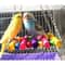 SjtU1pcs-Birds-Toy-Pet-Bird-Parrot-Cockatiel-Cage-Bird-Toys-HangingToy-Brinquedo-Hammock-Swing-Toy.jpg