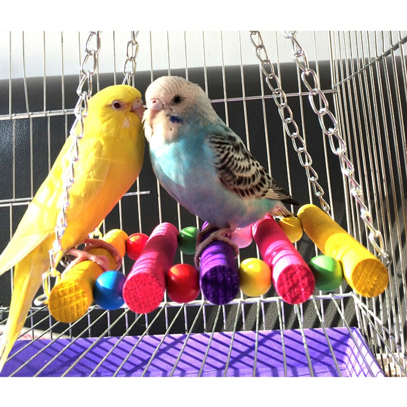 SjtU1pcs-Birds-Toy-Pet-Bird-Parrot-Cockatiel-Cage-Bird-Toys-HangingToy-Brinquedo-Hammock-Swing-Toy.jpg