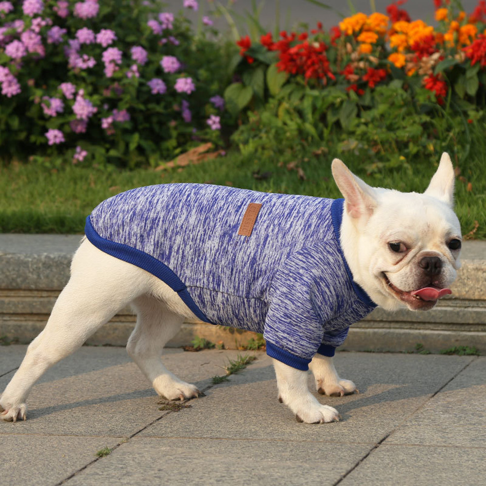 rBgtDog-Clothes-For-Medium-Small-Dogs-Pet-Coat-Autumn-Winter-Warm-Clothing-Grey-Cooling-Vest-Coat.jpg