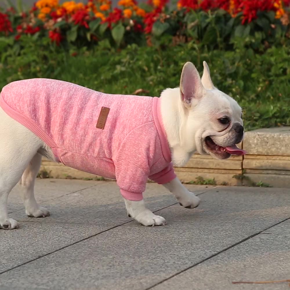 CqeUDog-Clothes-For-Medium-Small-Dogs-Pet-Coat-Autumn-Winter-Warm-Clothing-Grey-Cooling-Vest-Coat.jpg