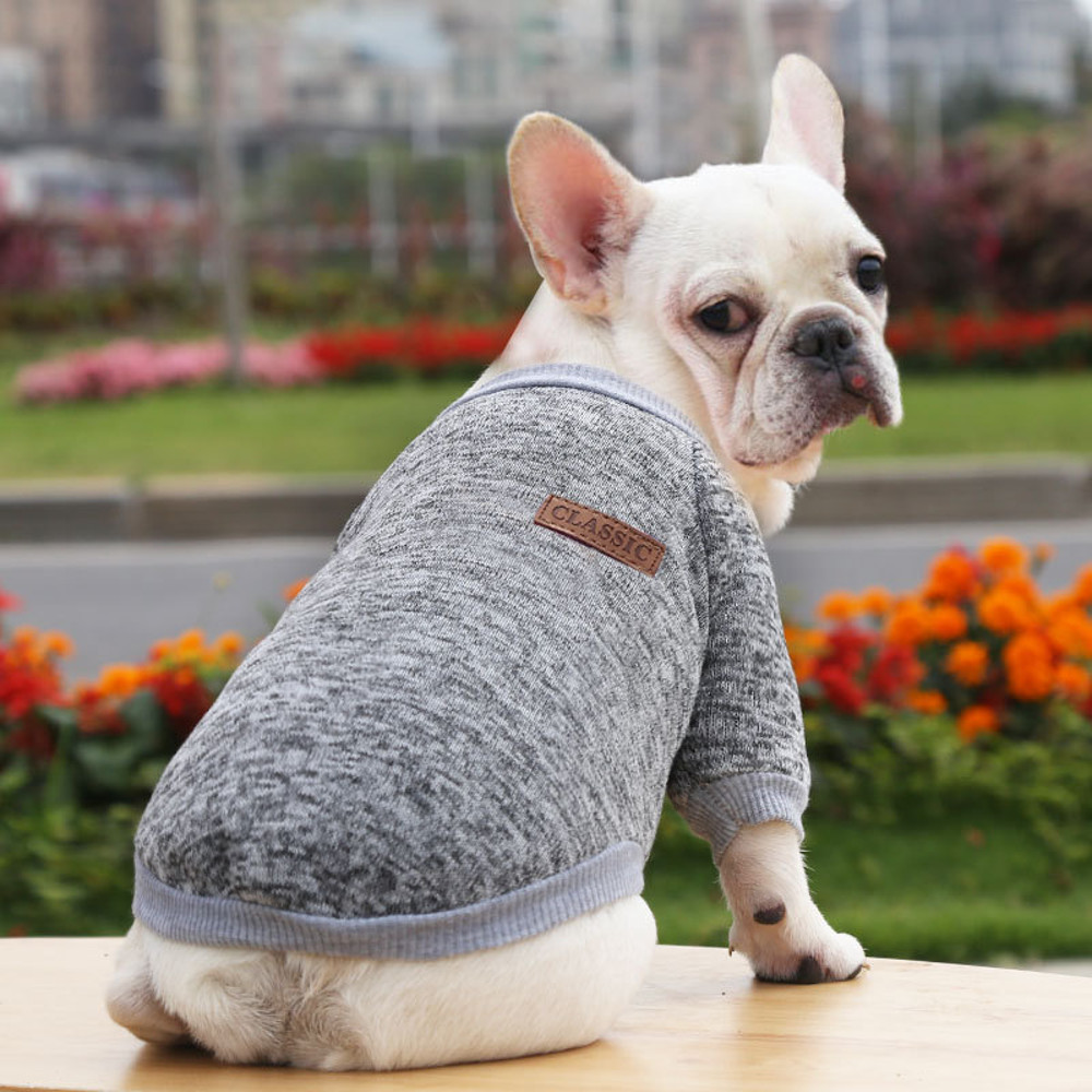 egIyDog-Clothes-For-Medium-Small-Dogs-Pet-Coat-Autumn-Winter-Warm-Clothing-Grey-Cooling-Vest-Coat.jpg