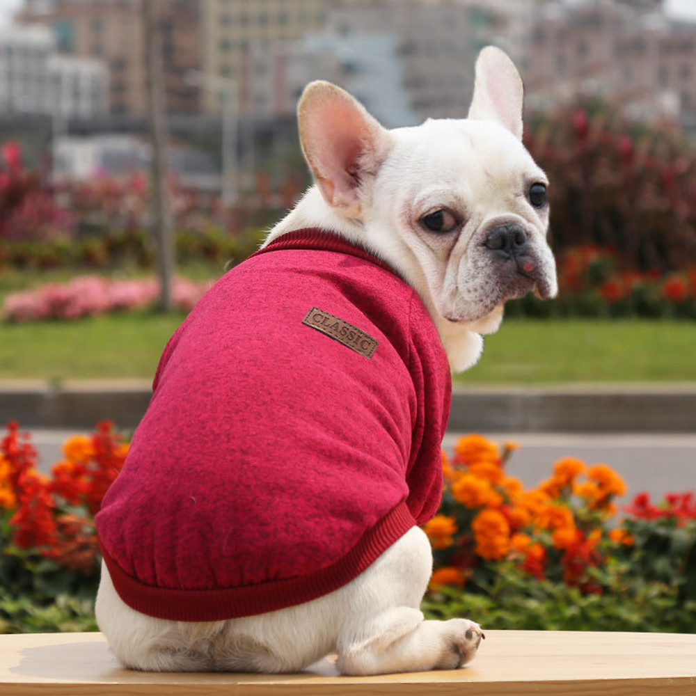 DYceDog-Clothes-For-Medium-Small-Dogs-Pet-Coat-Autumn-Winter-Warm-Clothing-Grey-Cooling-Vest-Coat.jpg