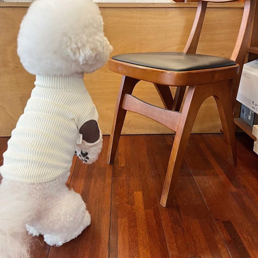 bLoPFashion-Pet-Dog-Bottoming-Shirt-Puppy-Solid-Color-Clothes-Winter-Teddy-Warm-Two-Legged-Clothing-Pet.jpg