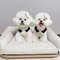 8W70PetDogSuspenderJumpsuitsChristmasRabbitPrintDogSlingDressforBulldogCatOutfitsChris