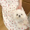 gAWgDog-Dress-Pet-Home-Parent-child-Nightdress-Pet-Dress-Dog-Floral-Pajamas-Cat-Dress-Dog-Clothes.jpg