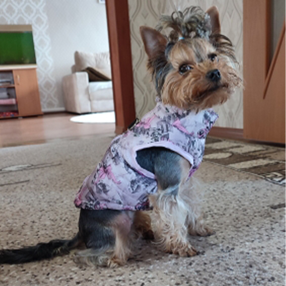 ig60Dog-Clothes-For-Small-Dogs-Yorkia-Mini-Chihuahua-Dog-Clothes-Winter-Cat-Jacket-Coat-For-Pug.jpg