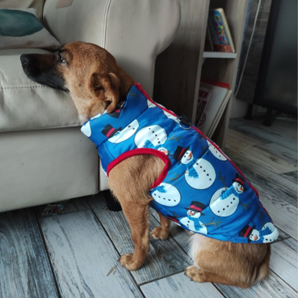 Ddf6Dog-Clothes-For-Small-Dogs-Yorkia-Mini-Chihuahua-Dog-Clothes-Winter-Cat-Jacket-Coat-For-Pug.jpg