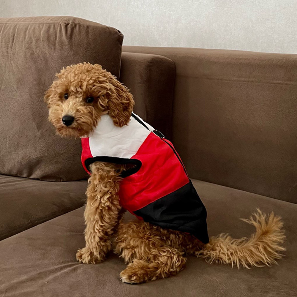 kcg5Dog-Clothes-For-Small-Dogs-Yorkia-Mini-Chihuahua-Dog-Clothes-Winter-Cat-Jacket-Coat-For-Pug.jpg