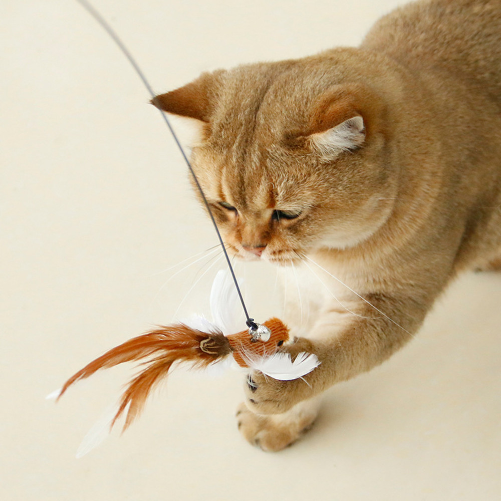 MSwwHandfree-Bird-Feather-Cat-Wand-with-Bell-Powerful-Suction-Cup-Interactive-Toys-for-Cats-Kitten-Hunting.jpg