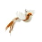 wvoSHandfree-Bird-Feather-Cat-Wand-with-Bell-Powerful-Suction-Cup-Interactive-Toys-for-Cats-Kitten-Hunting.jpg