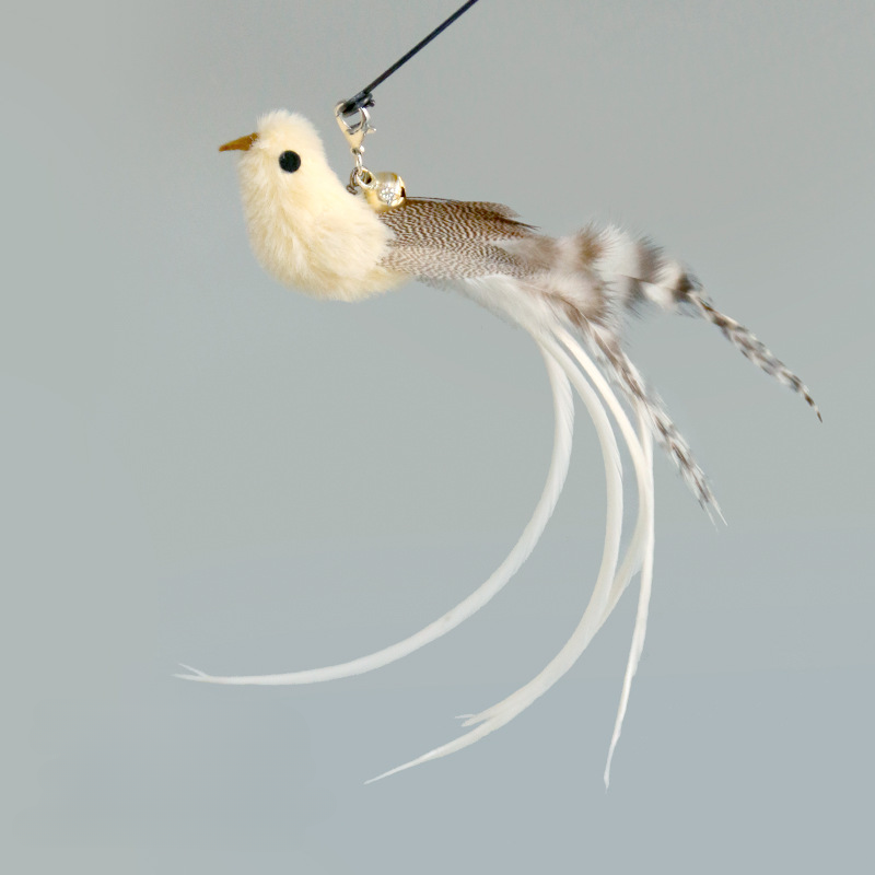 6st4Handfree-Bird-Feather-Cat-Wand-with-Bell-Powerful-Suction-Cup-Interactive-Toys-for-Cats-Kitten-Hunting.jpg