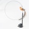 5I0bHandfree-Bird-Feather-Cat-Wand-with-Bell-Powerful-Suction-Cup-Interactive-Toys-for-Cats-Kitten-Hunting.jpg