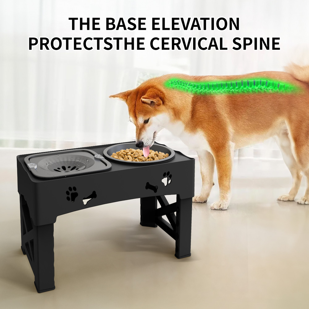Adjustable Height Pet Feeder Slow Feed Double Bowl for Cats & Dogs