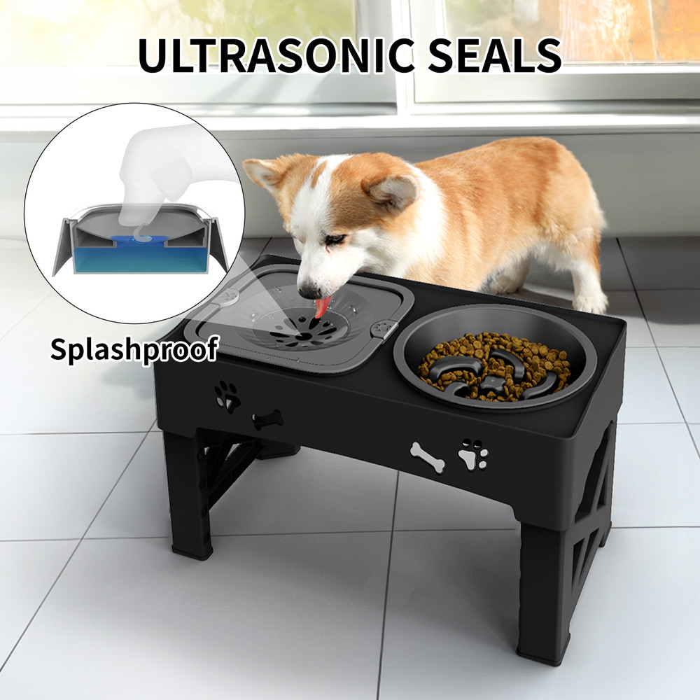 Adjustable Height Pet Feeder Slow Feed Double Bowl for Cats & Dogs