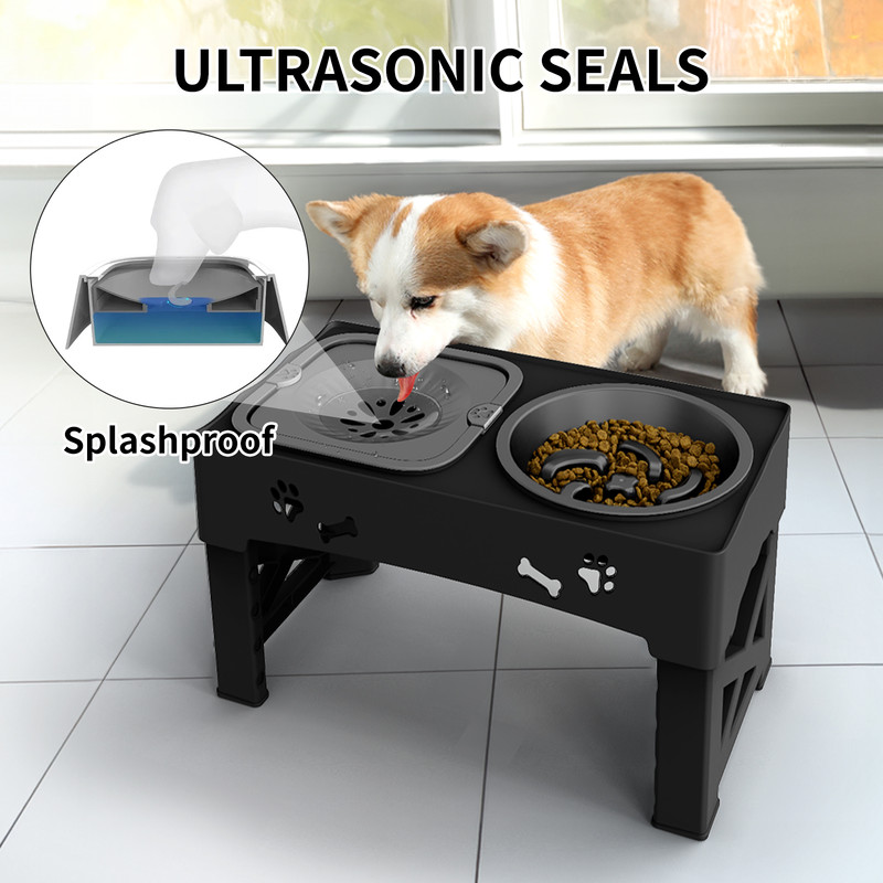 Adjustable Height Pet Feeder Slow Feed Double Bowl for Cats & Dogs