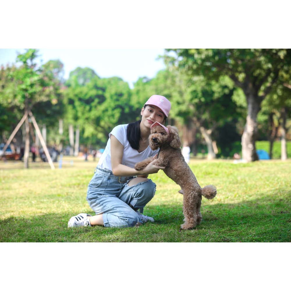 Adjustable Pet Dog Baseball Hat With Ear Holes Cute Travel Sun Cap For Outdoor Sport 2