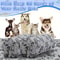 High-Quality Fluffy Pet Blanket Mat, Soft, Warm & Cute Cartoon Pattern