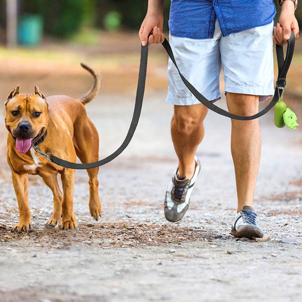 Night Reflective Pet Leash  Harness Adjustable DogCat Collar Lead Durable Guard Rope For Walking  S 1