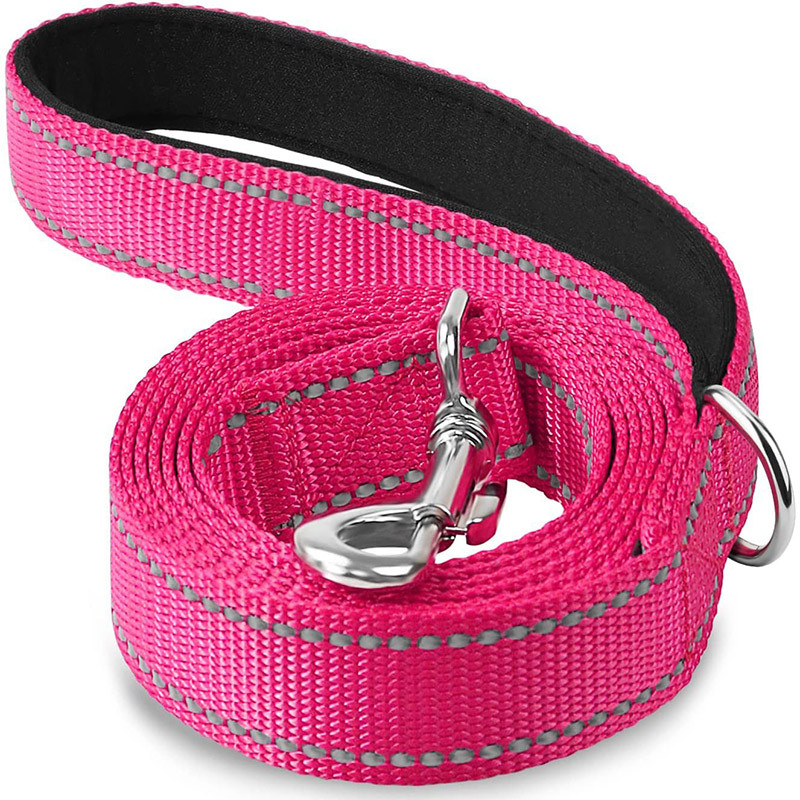 Night Reflective Pet Leash  Harness Adjustable DogCat Collar Lead Durable Guard Rope For Walking  S 10