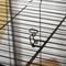 Ferret Cage With Wheels Hammocks Tunnels MultiLevel Small Pet Play House Habitat 2