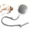 Interactive Rolling Cat Ball Toy Rechargeable Automatic Cat Ball Toy For Indoor Pets 5