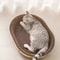 Cat Scratcher Bed Durable Cat Scratching Board For Furniture Protection Claw Care 0